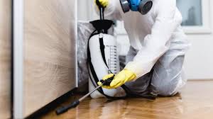 Best Termite Inspection and Treatment  in Park Hill, OK